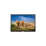 Rose 19" 49 Ekran 12V Full HD Karavan - Tekne - Yat LED Monitör TV - Görsel 4